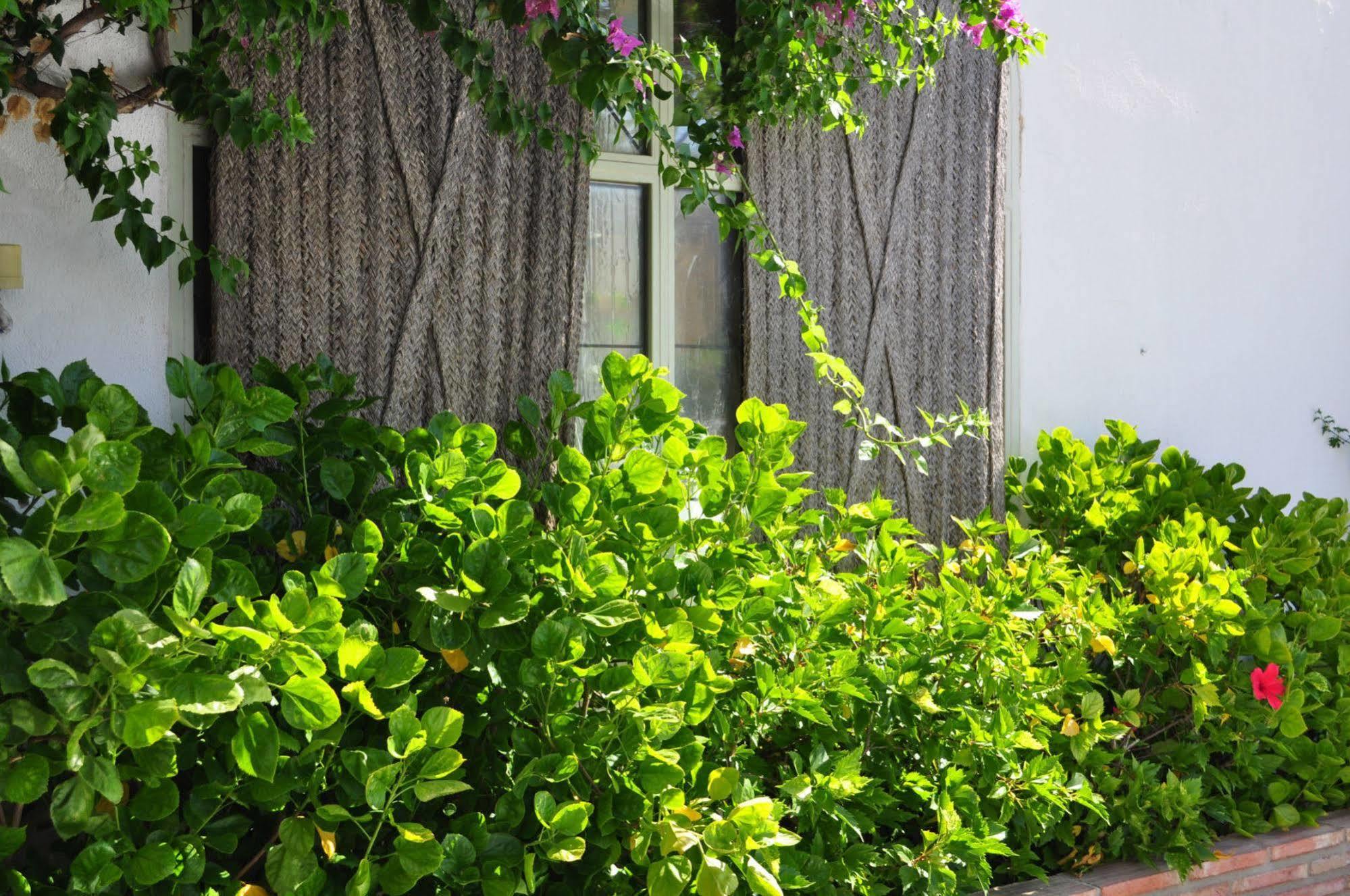 Oasis Hotel Córdoba